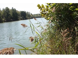 Property photo 84 - 419 +/- Acres offered in 6 Tracts, Land Auction